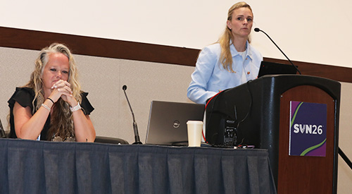 SVN Presenter